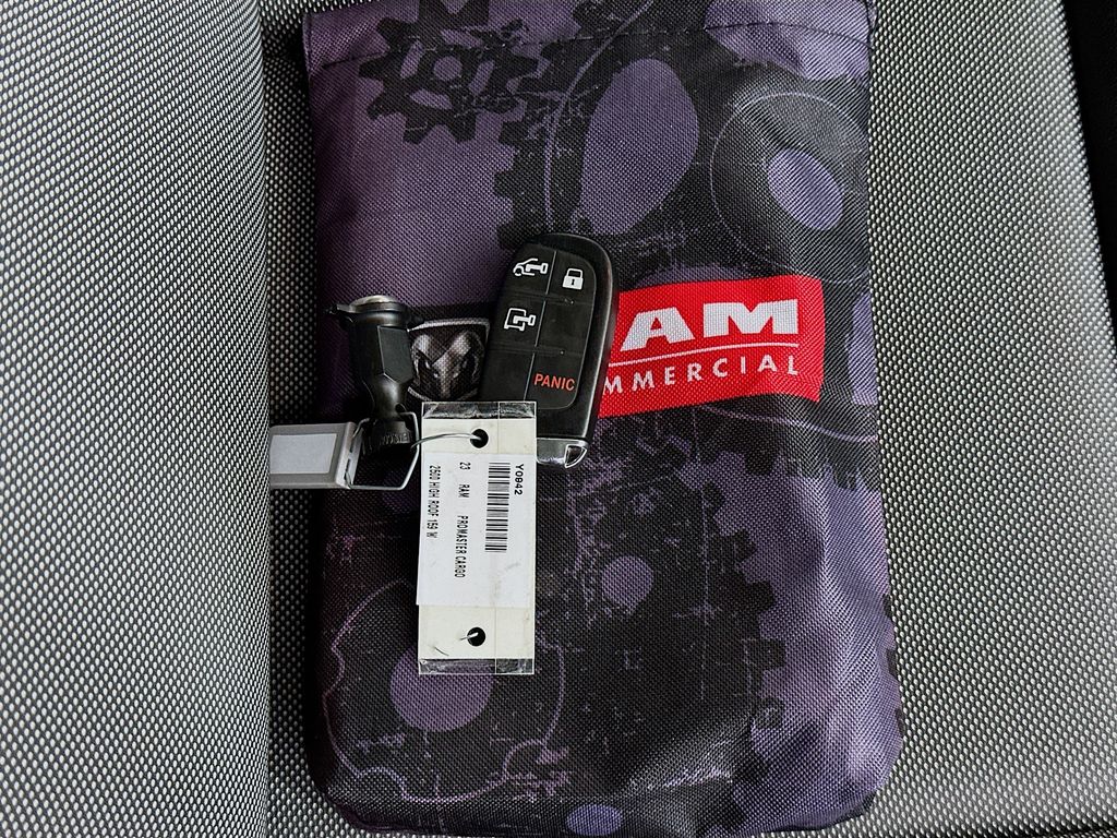 RamPromaster 250033