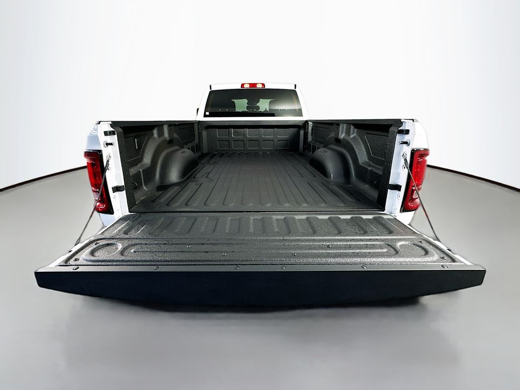 Ram250020