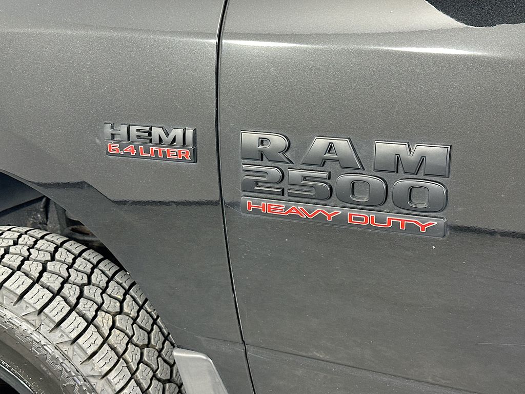 Ram250028