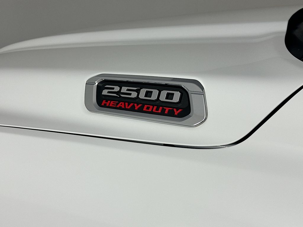 Ram250028