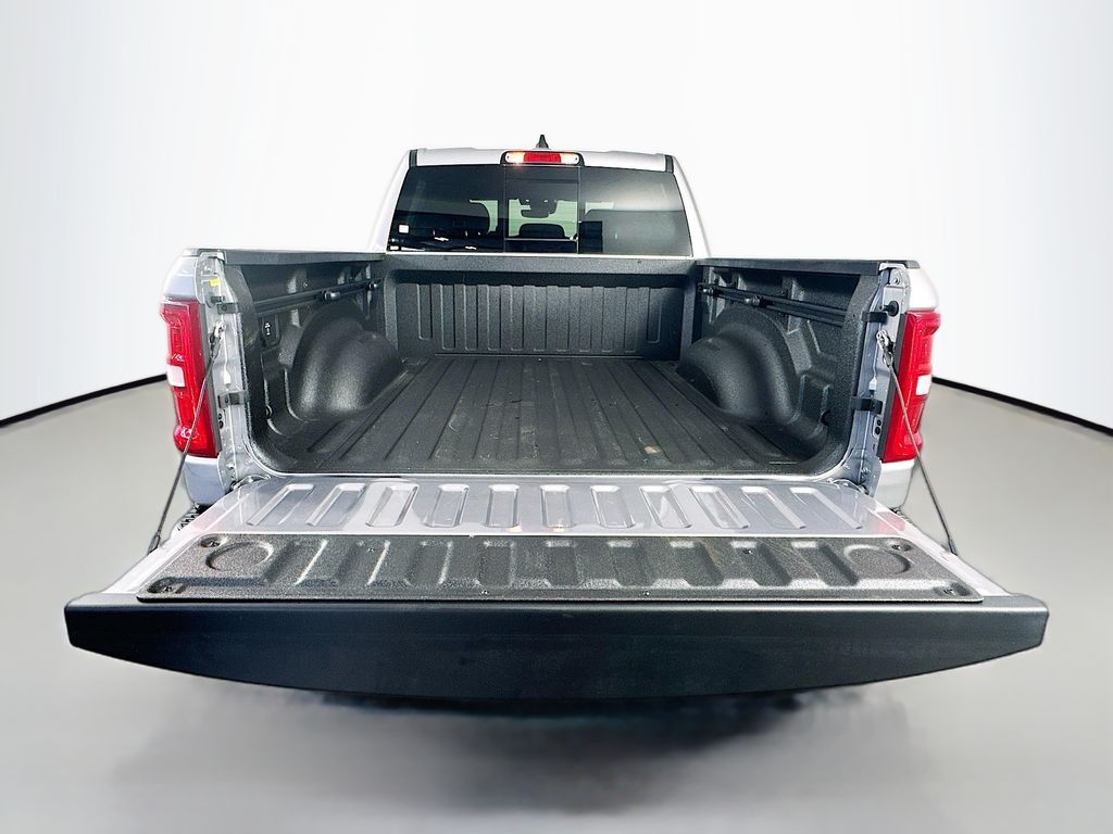 Ram150029