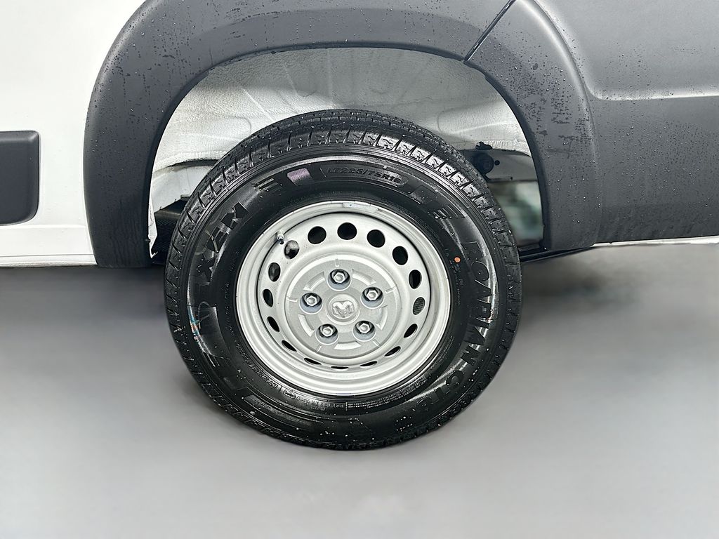 RamPromaster 250017