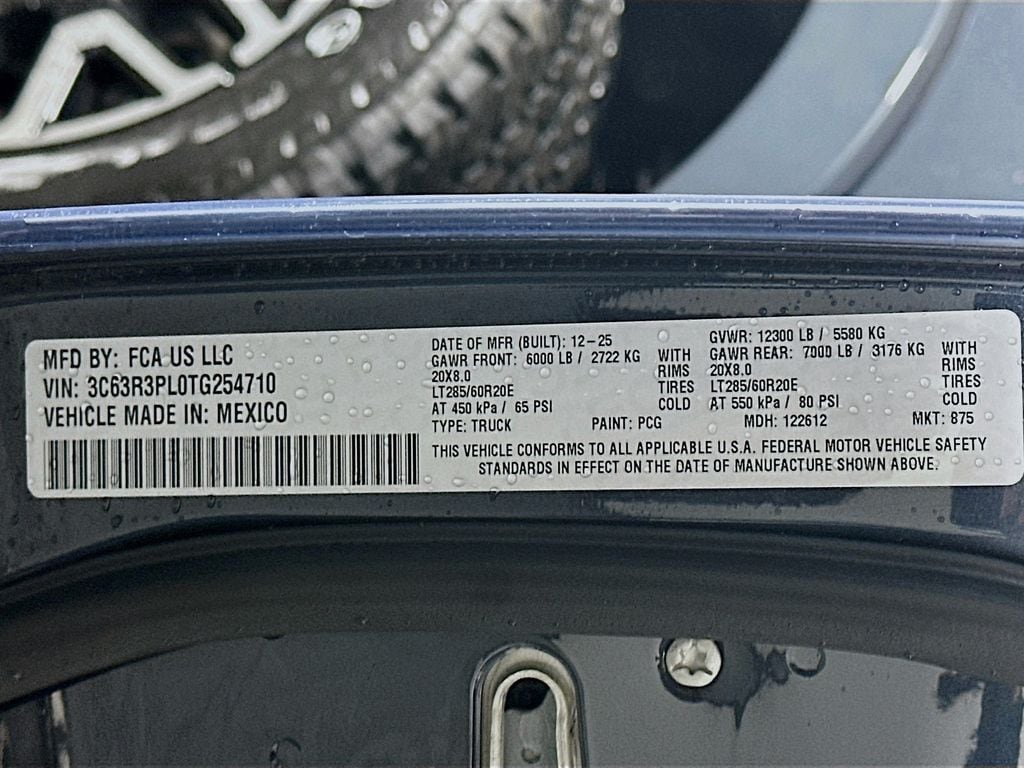 Ram350019