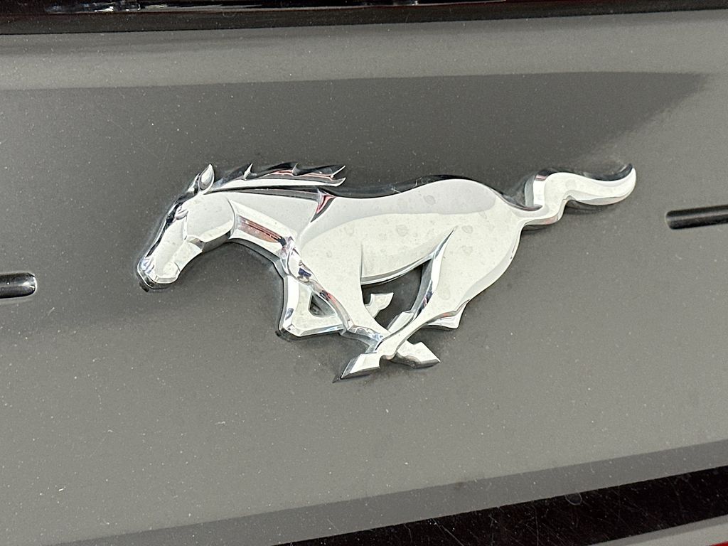 FordMustang26