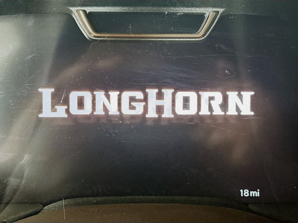 2025 RAM 3500 Limited/Longhorn - Photo 11