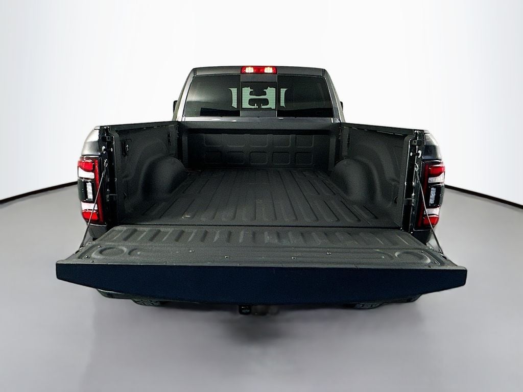 Ram250029