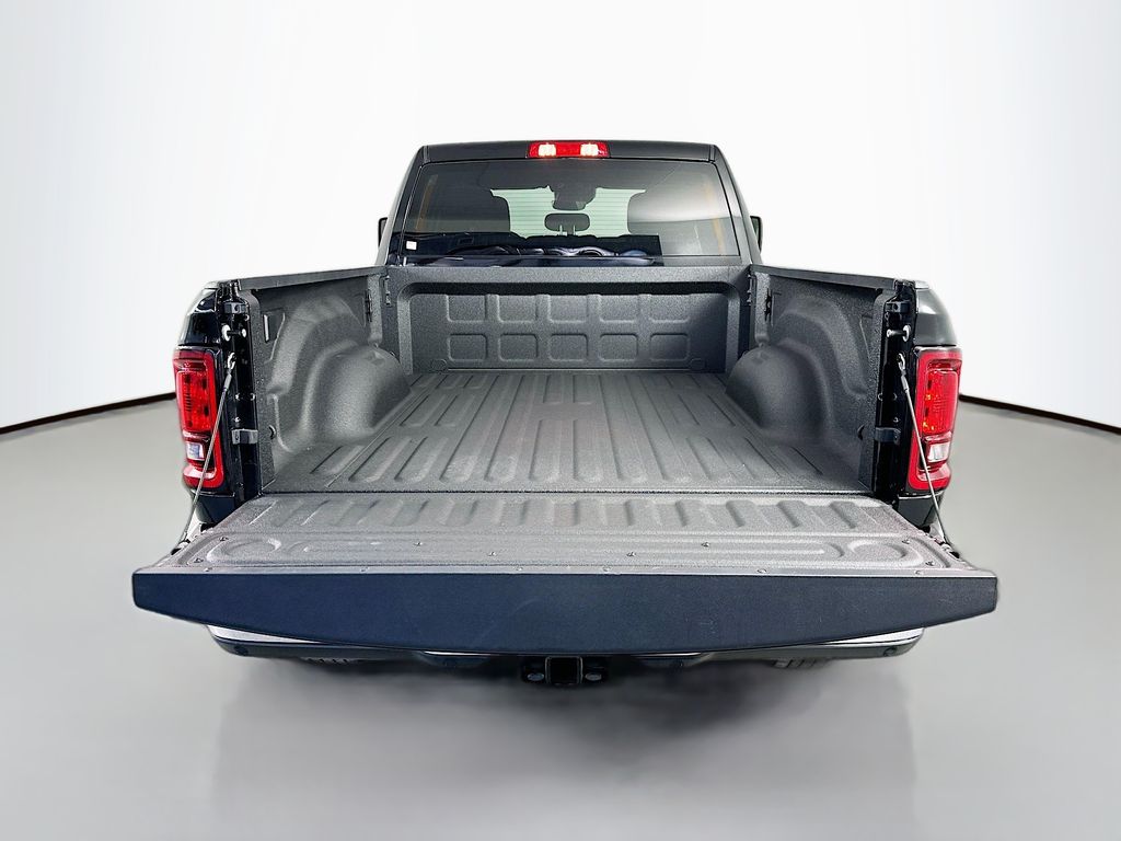 Ram250029