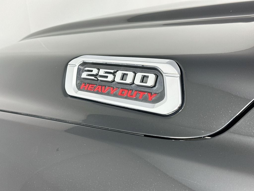 Ram250028