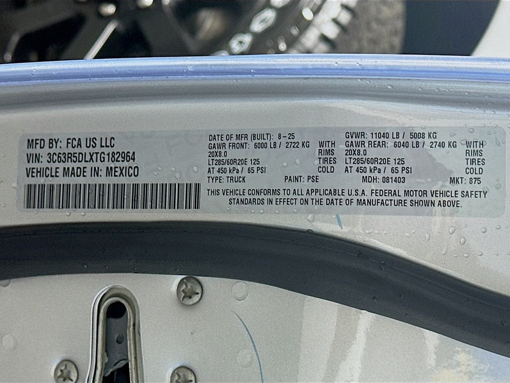 Ram250019