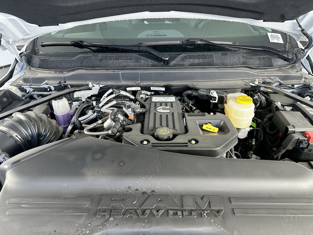 Ram350017