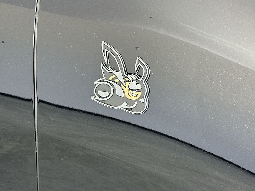 DodgeCharger23