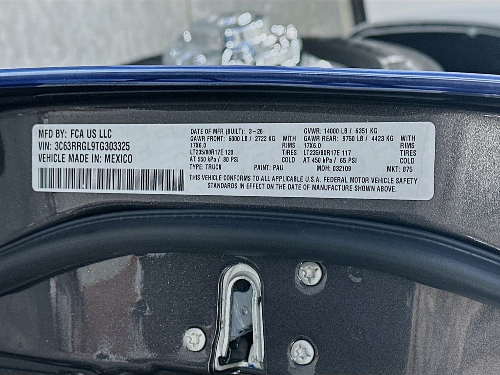 Ram350019