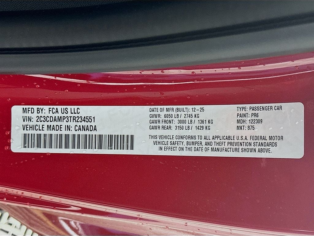 DodgeCharger19