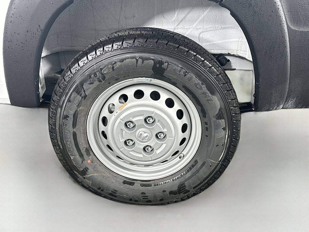 RamPromaster 250017