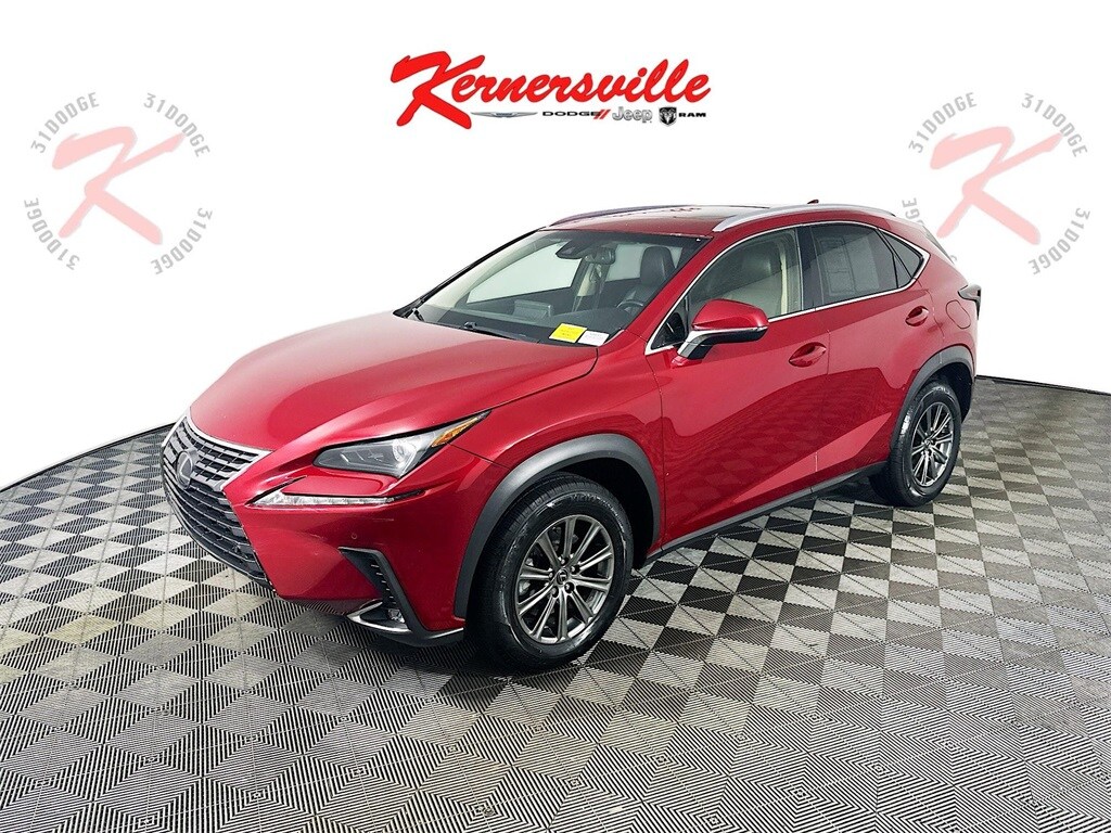 2019 Lexus NX 300 Luxury photo 3