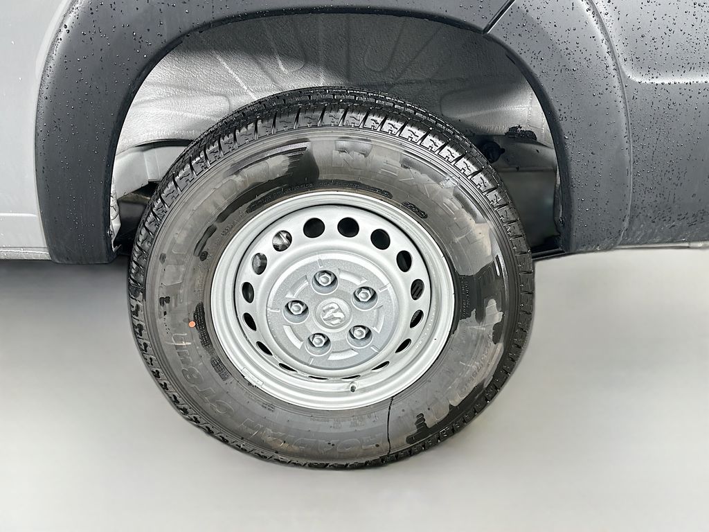 RamPromaster 250017