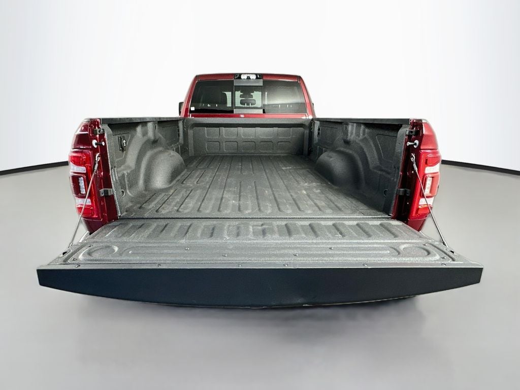 Ram350029