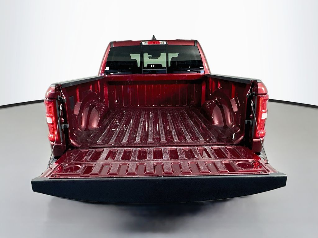 Ram150029