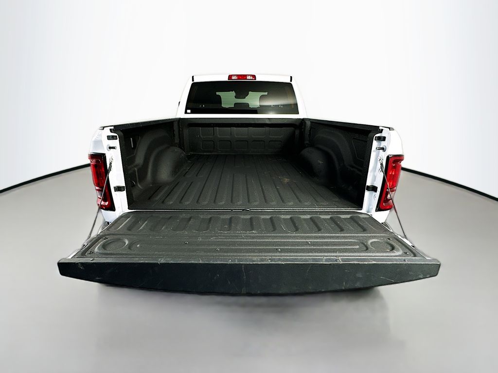 Ram250029