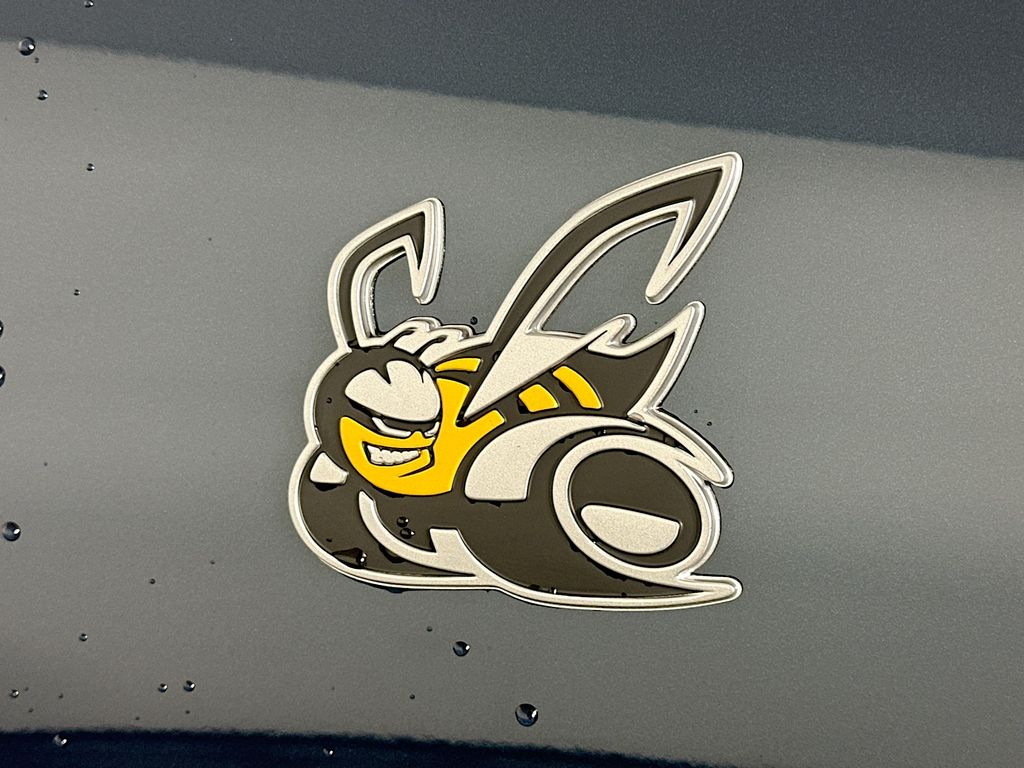 DodgeCharger21