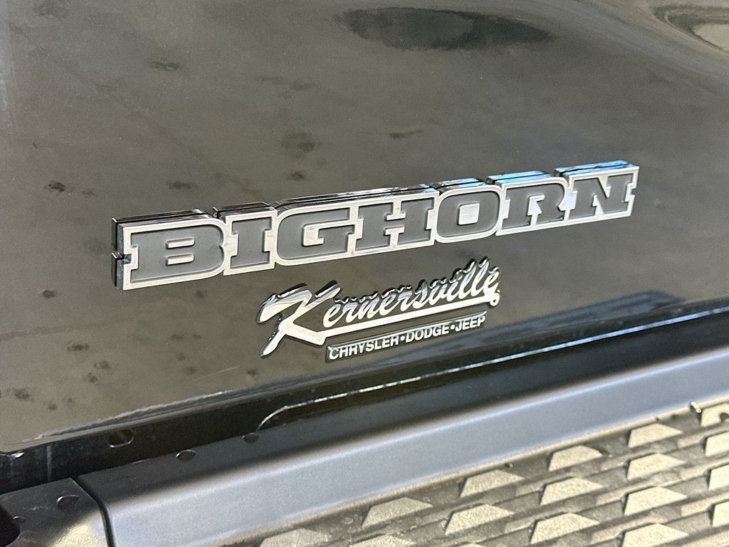 Ram350021
