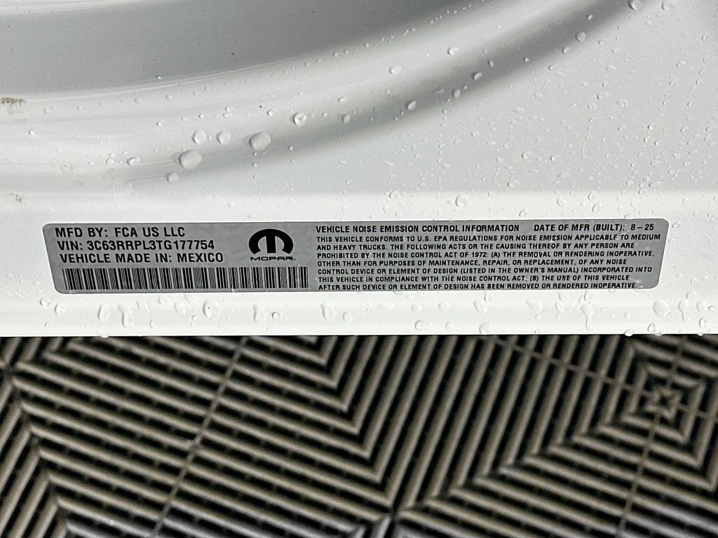 Ram350019