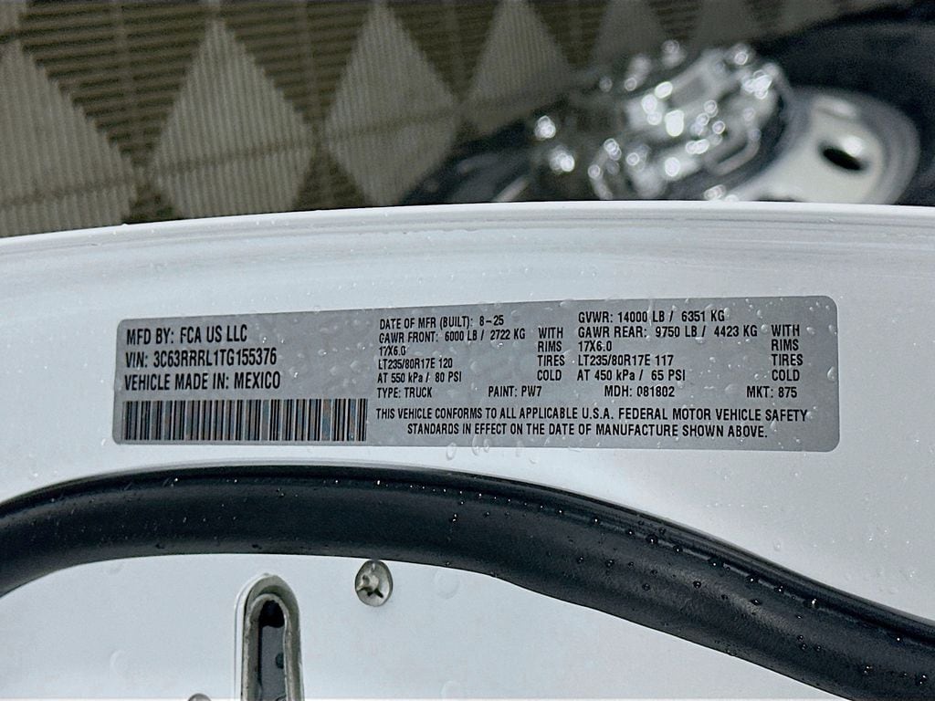 Ram350019