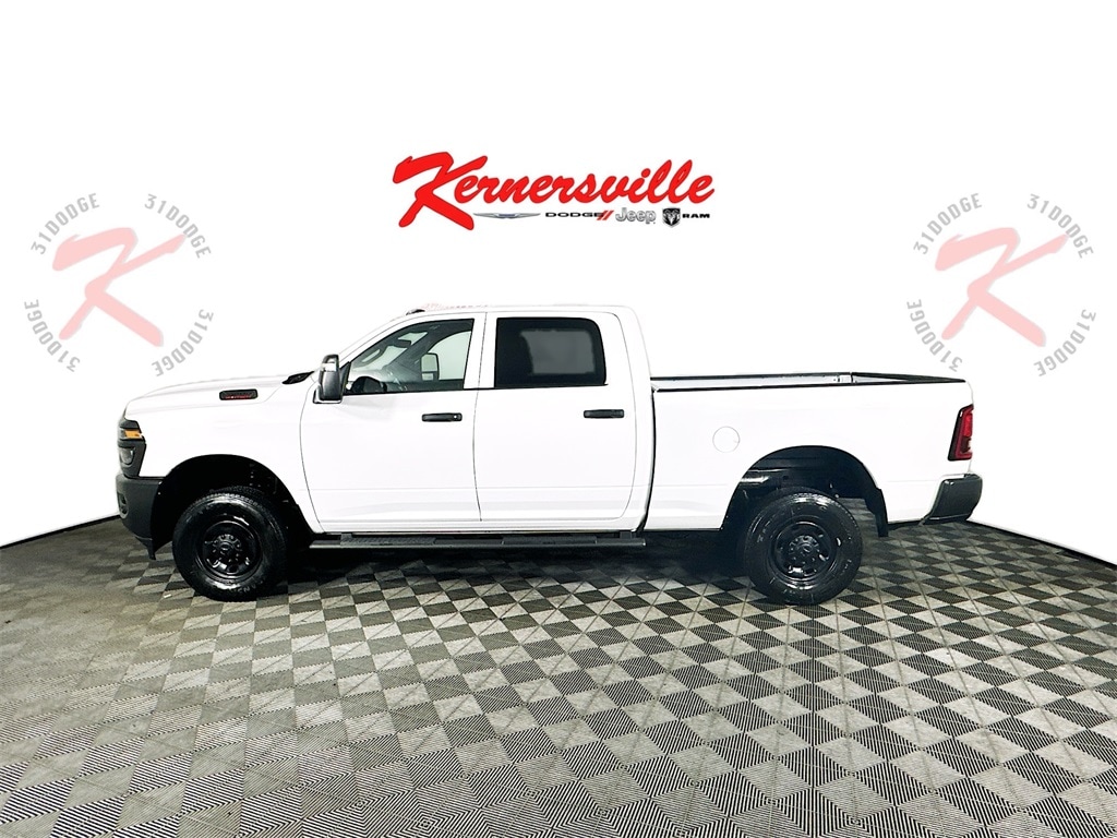 Ram25004