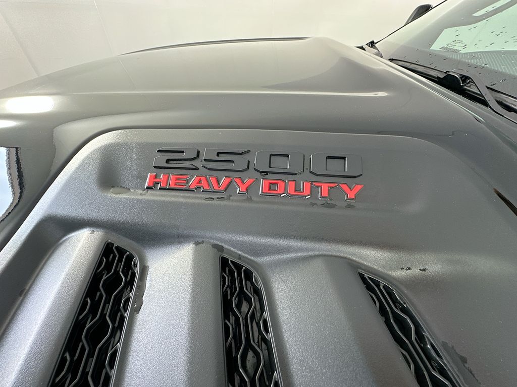 Ram250021