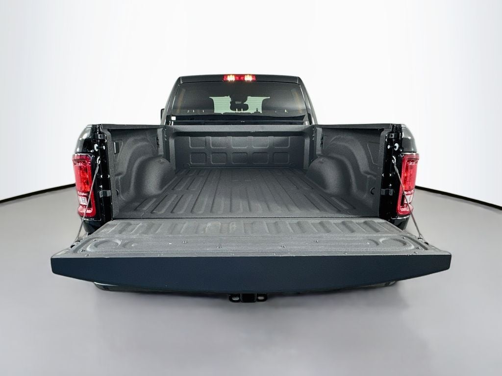 Ram250028