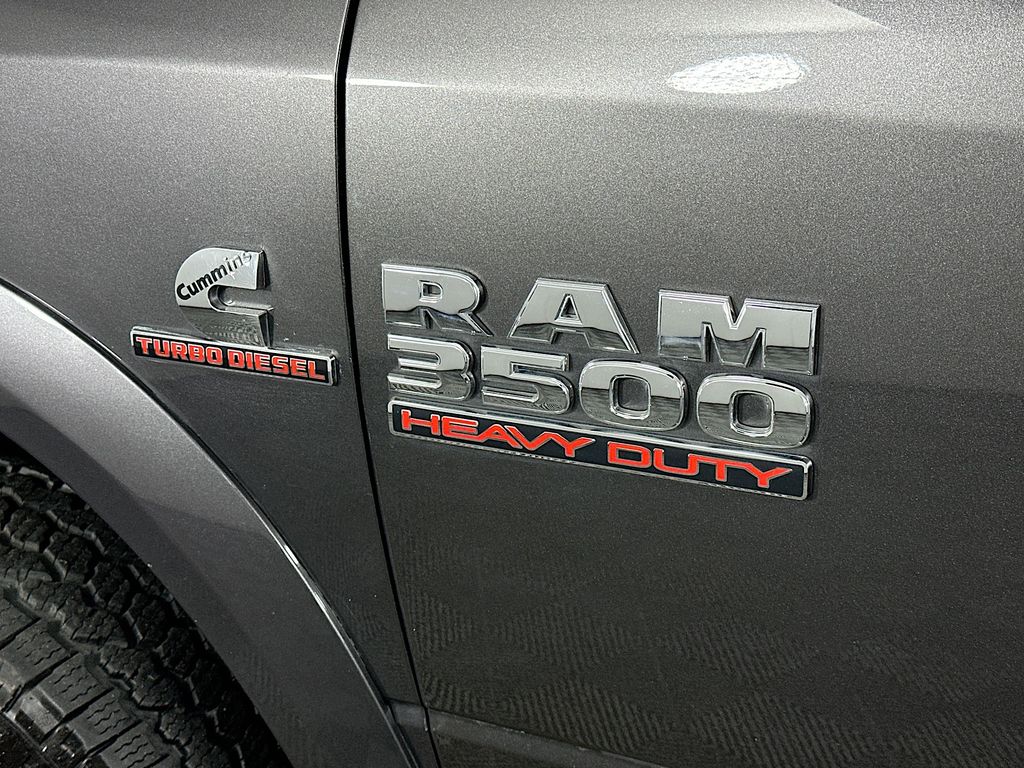 Ram350029