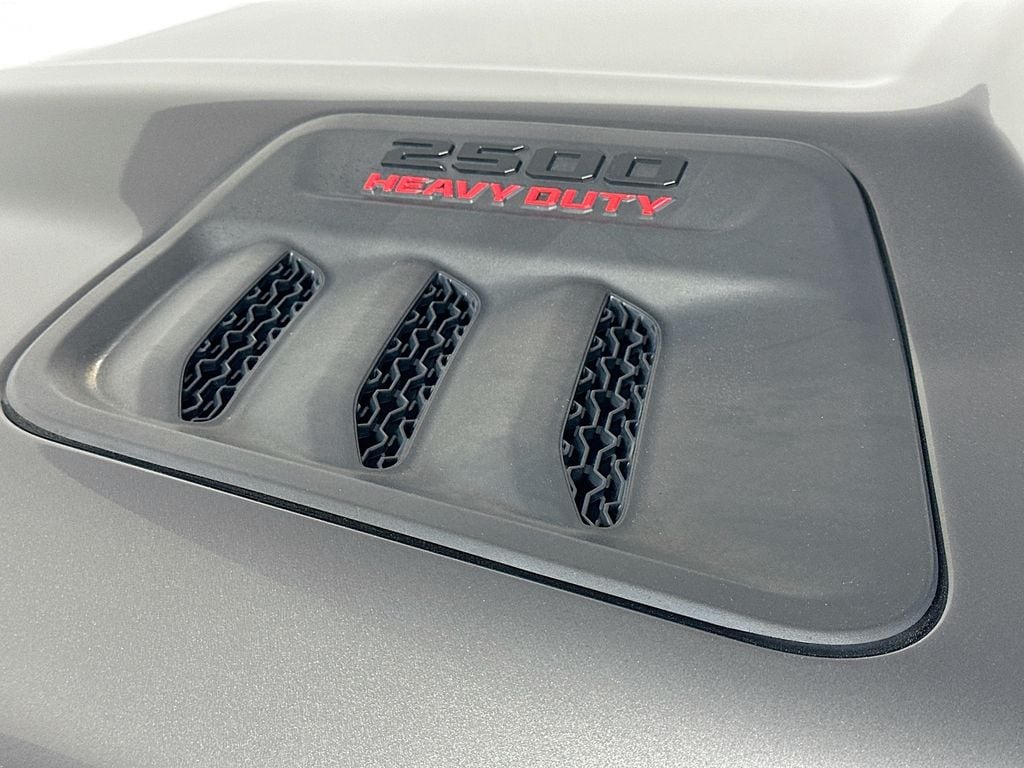 Ram250028