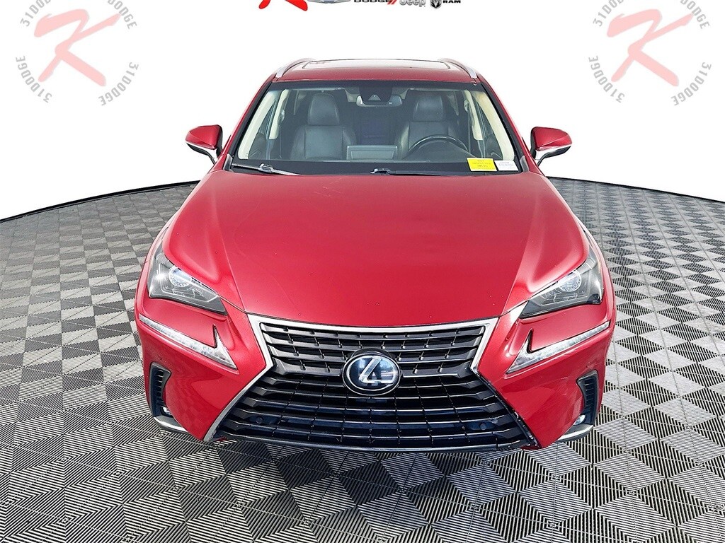 2019 Lexus NX 300 Luxury photo 2