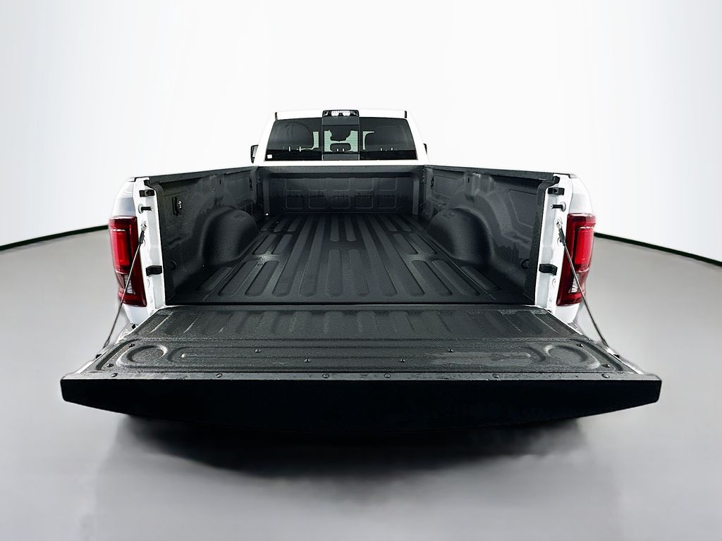 Ram250029