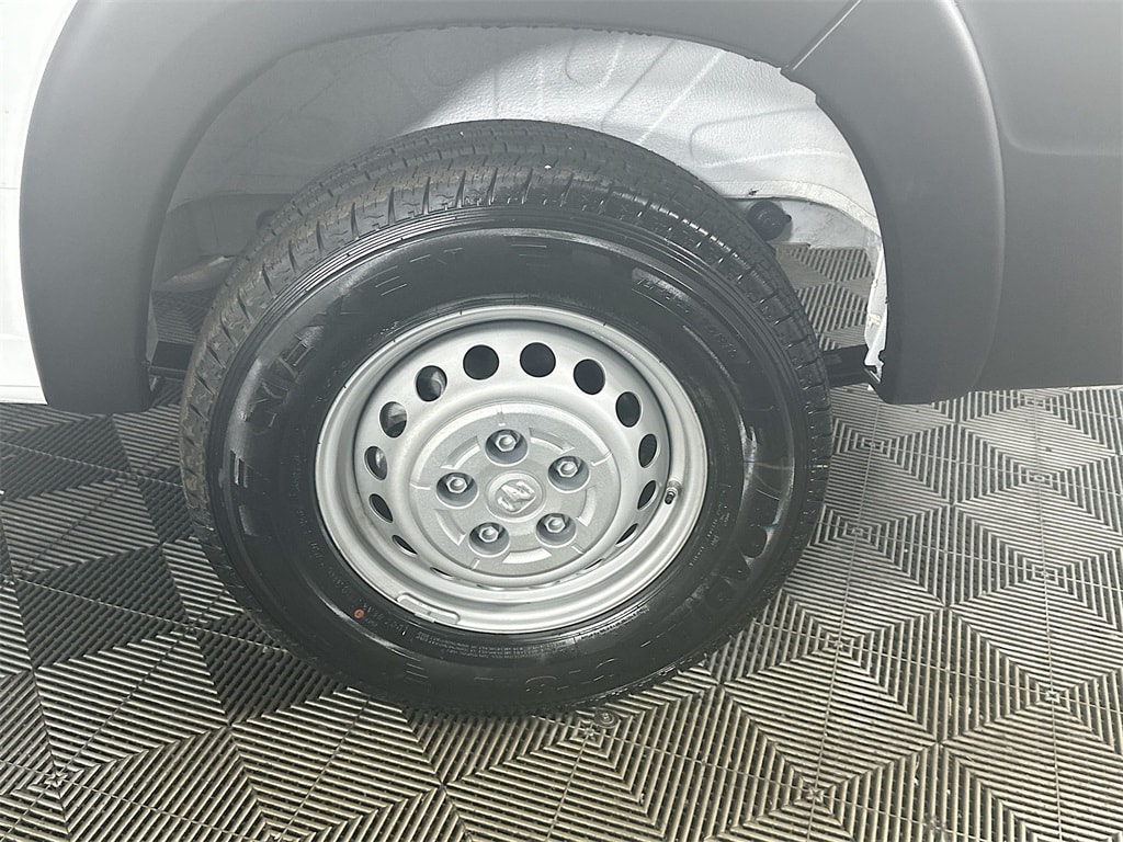RamPromaster 250017