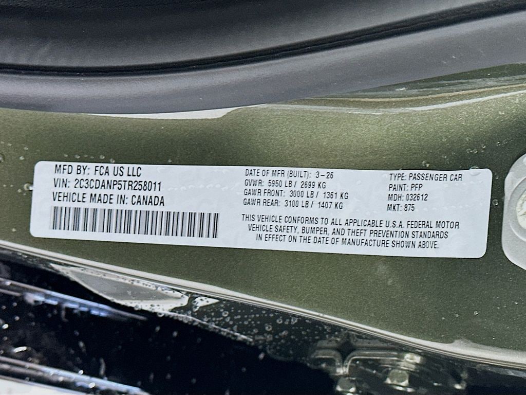 DodgeCharger19