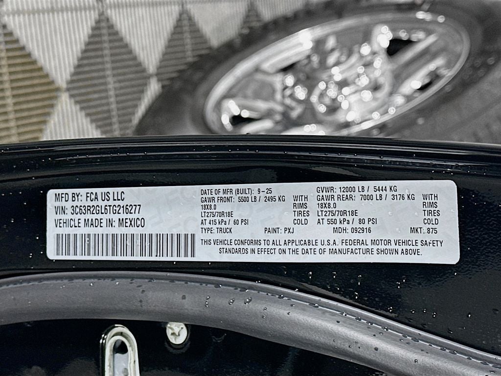 Ram350019