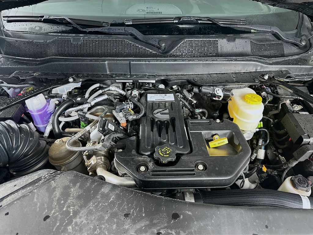 Ram250019