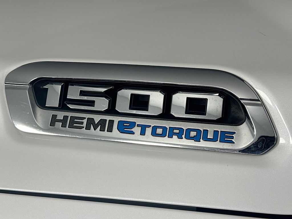 Ram150029