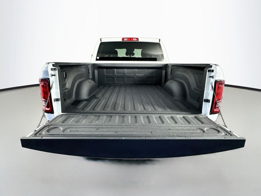 Ram250028