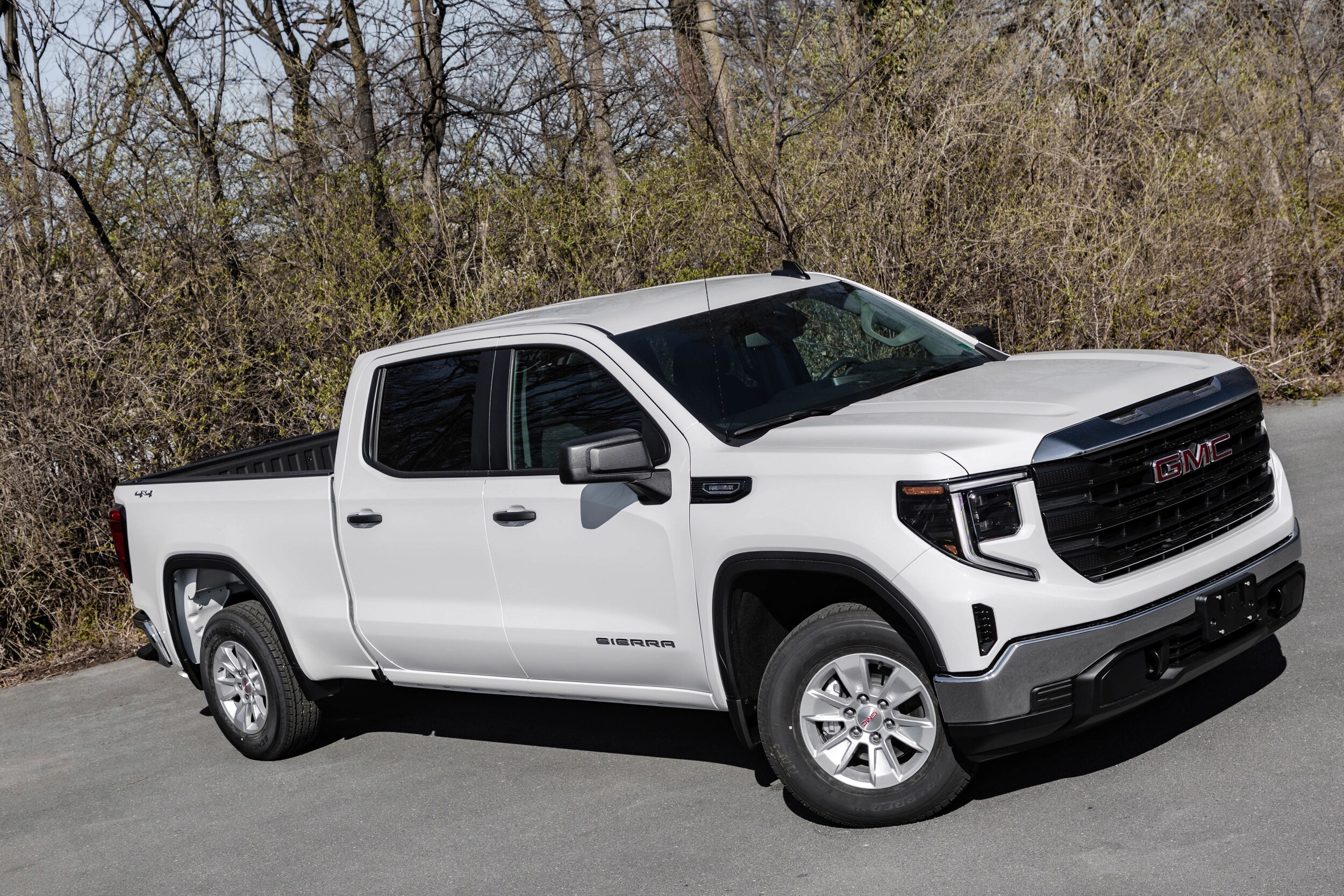 2025 Gmc Sierra 1500 Pro photo 2