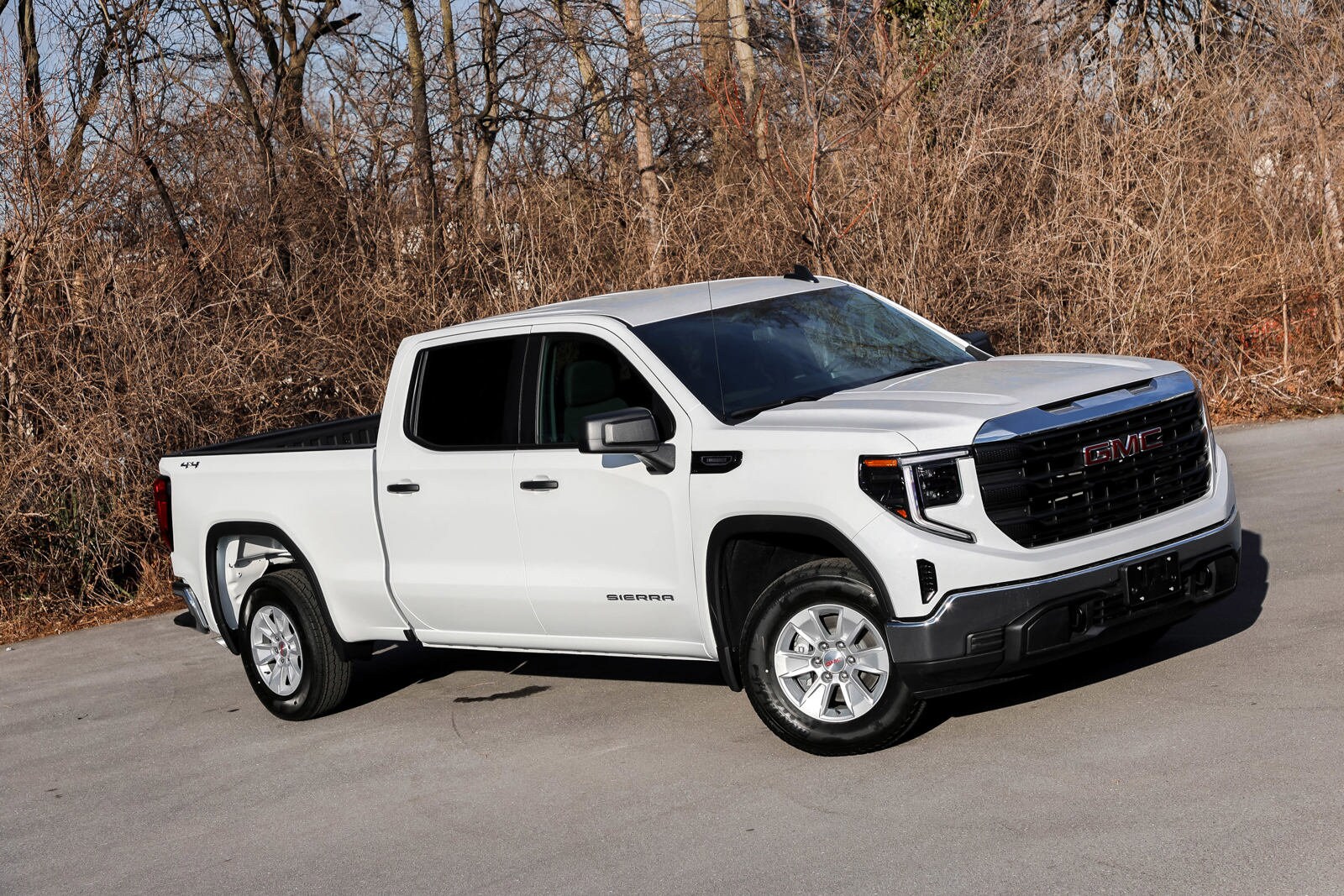 2025 Gmc Sierra 1500 Pro photo 2