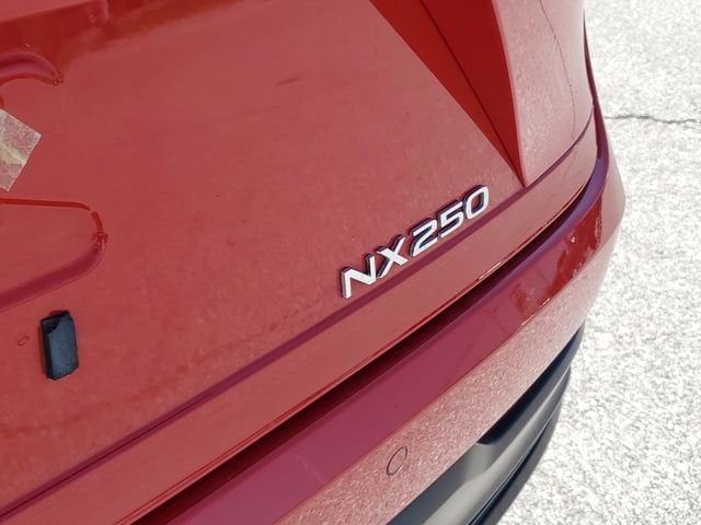 2023 Lexus NX 250 - Photo 7