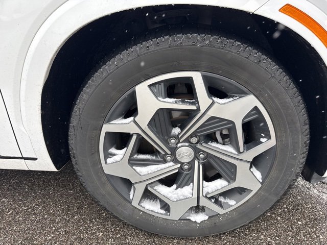 2022 Hyundai Palisade Calligraphy photo 3