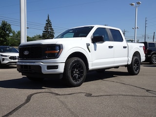 2025 Ford F-150 STX Truck