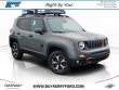 Used 2021 Jeep Renegade Trailhawk SUV