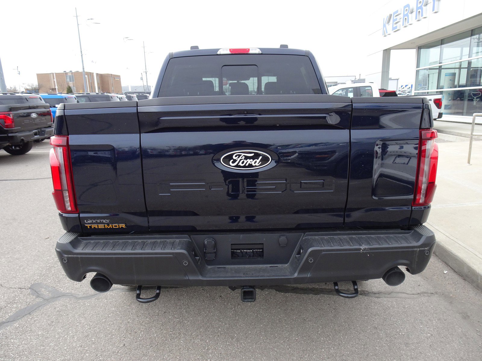 2025 Ford F-150 Tremor photo 4