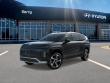 New 2026 Hyundai IONIQ 9 Performance Calligraphy SUV