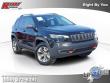 Used 2019 Jeep Cherokee Trailhawk SUV