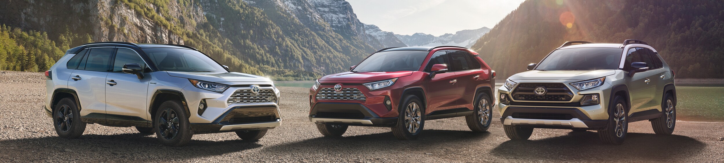 2020 Toyota RAV4 Florence, KY